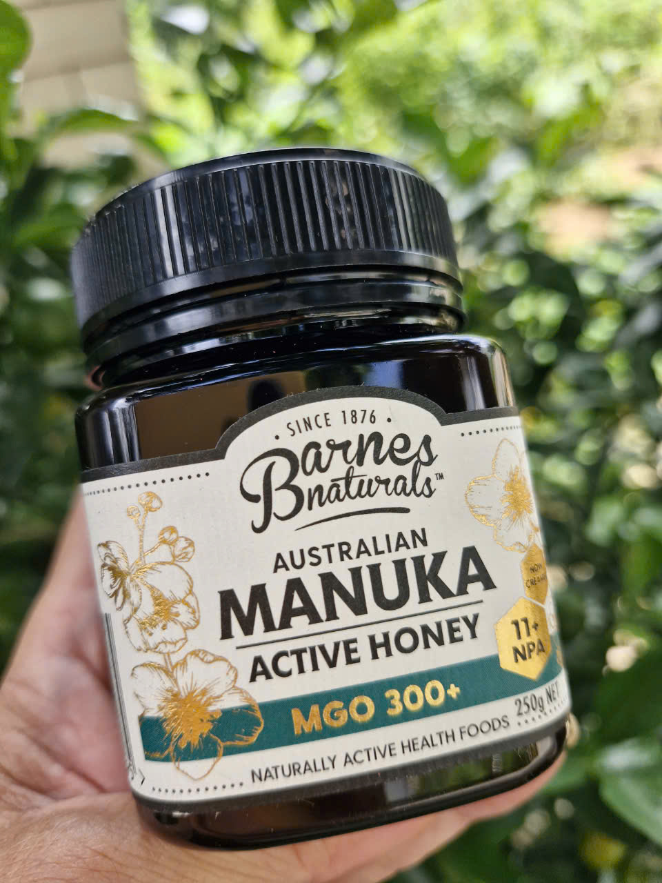 🐝🐝🐝Mật ong Manuka Barnes Naturals 300+ MGO 250g của Úc Date xa