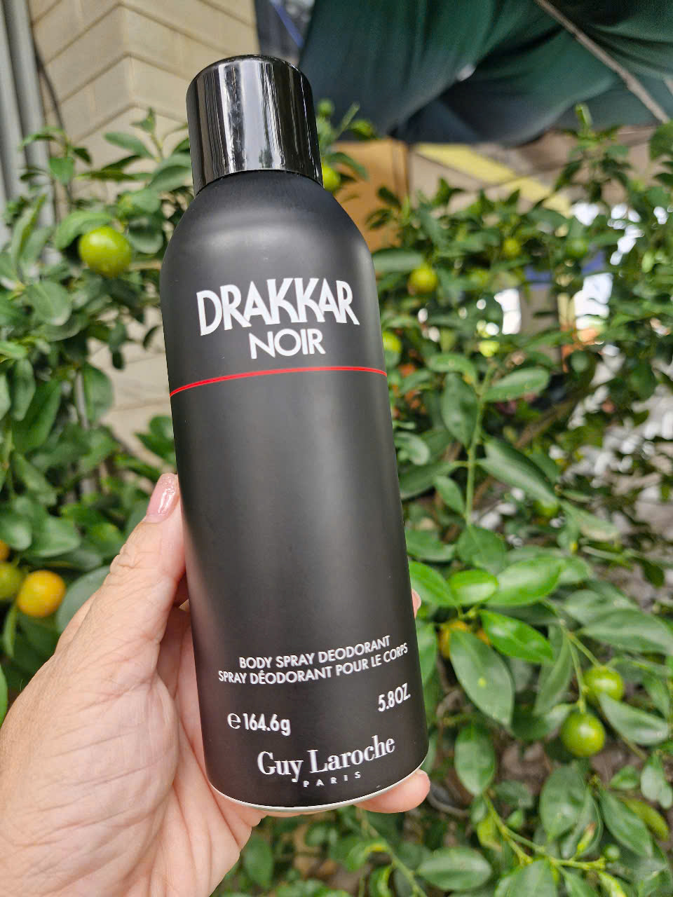 🧢🧢🧢Xịt khử mùi body nam Drakkar Noir 5.8oz 165g của Pháp